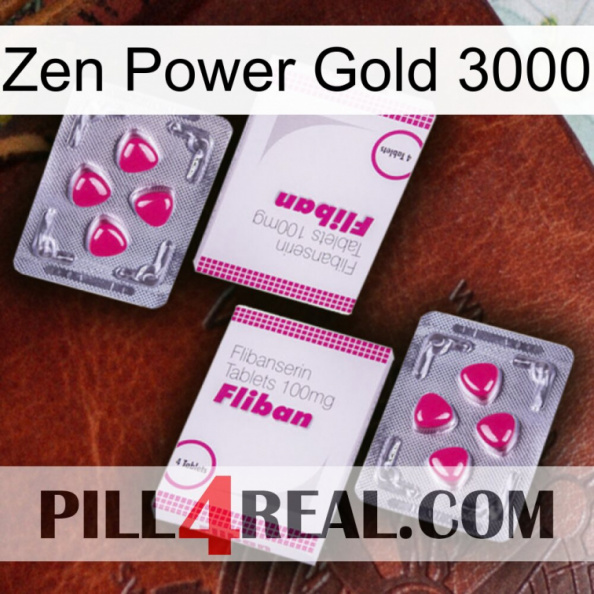 Zen Power Gold 3000 33